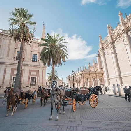 Larra Nervión * Sevilla