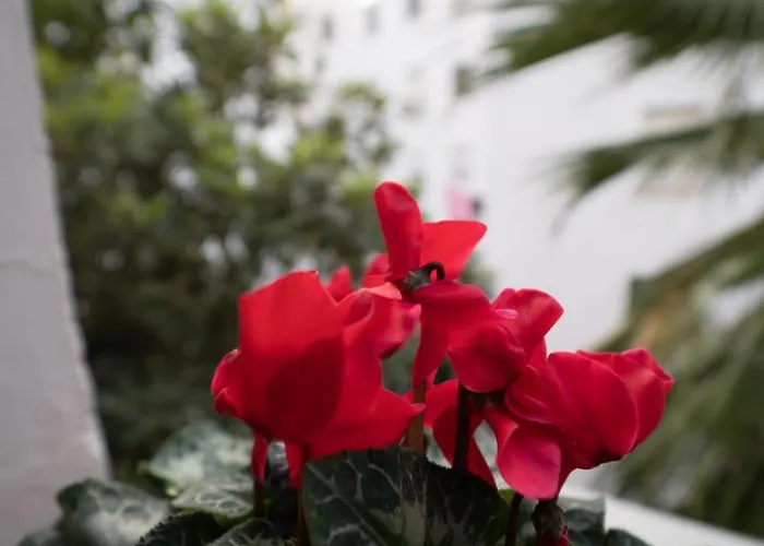 Larra Nervion Subway Tranvia Appartamento *